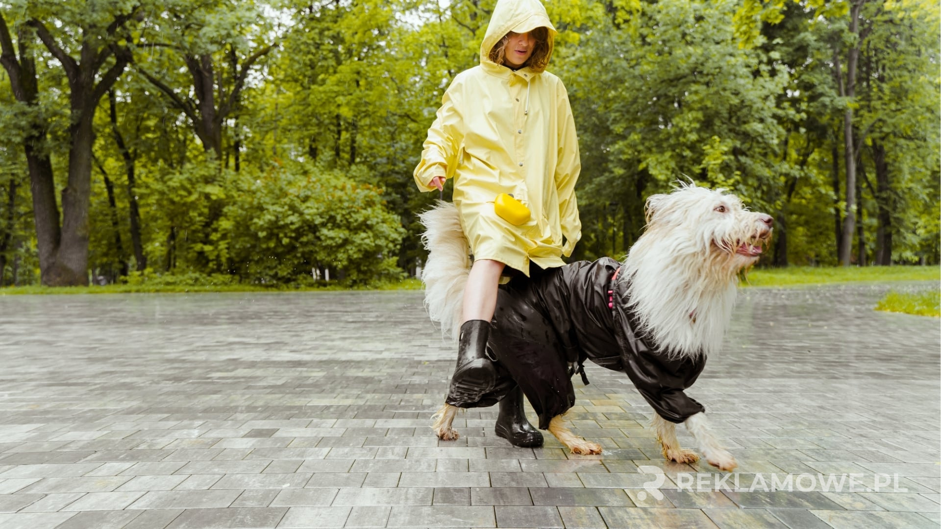 Peleryny reklamowe z logo firmy
